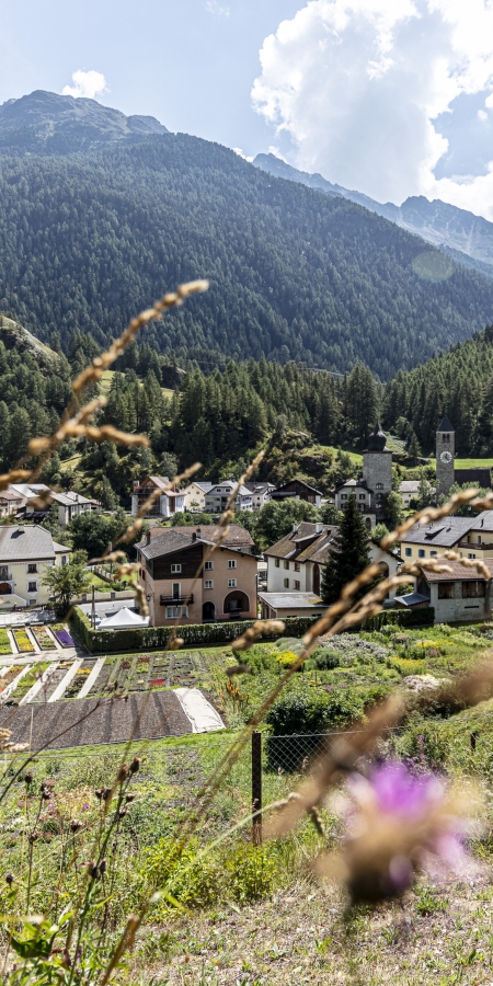 Das Dorf Susch, Unterengadin, im Sommer Das Dorf Susch, Unterengadin, im Sommer