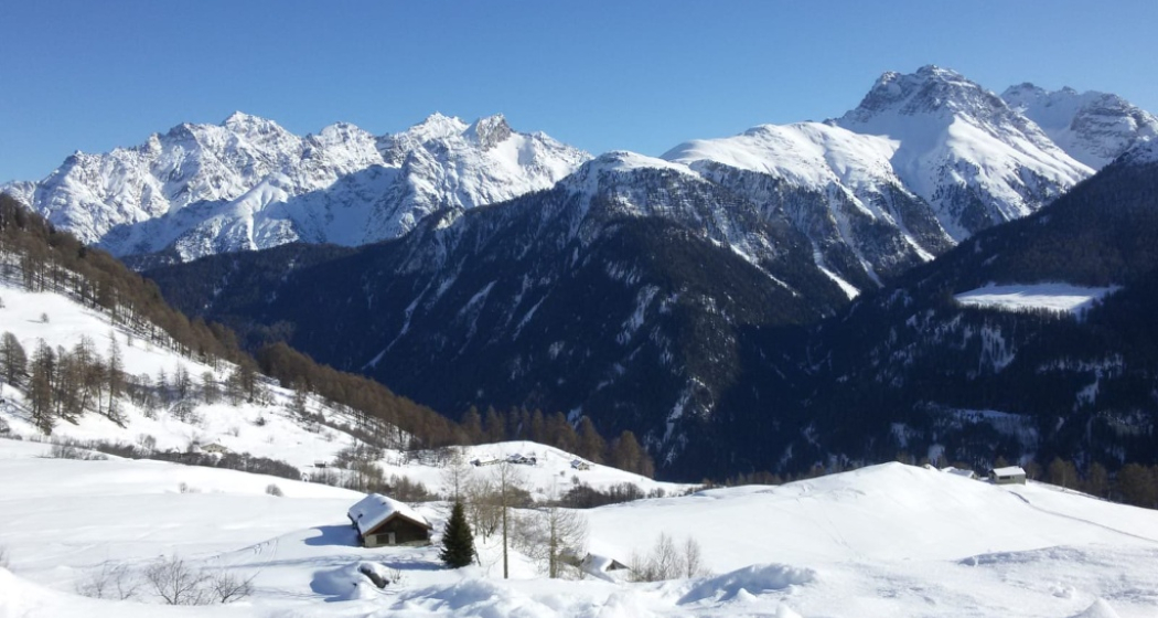 Guarda Bos cha Munt Ardez Engadin Scuol Zernez