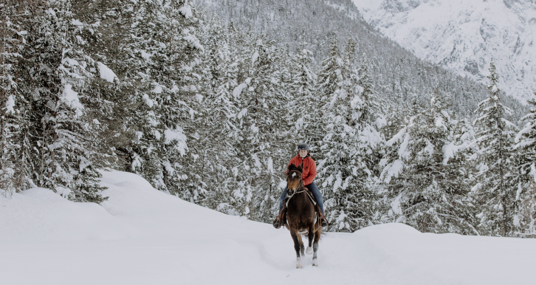 Halbtagesritt (gdl_810858740_image) Halbtagesritt (gdl_810858740_image)