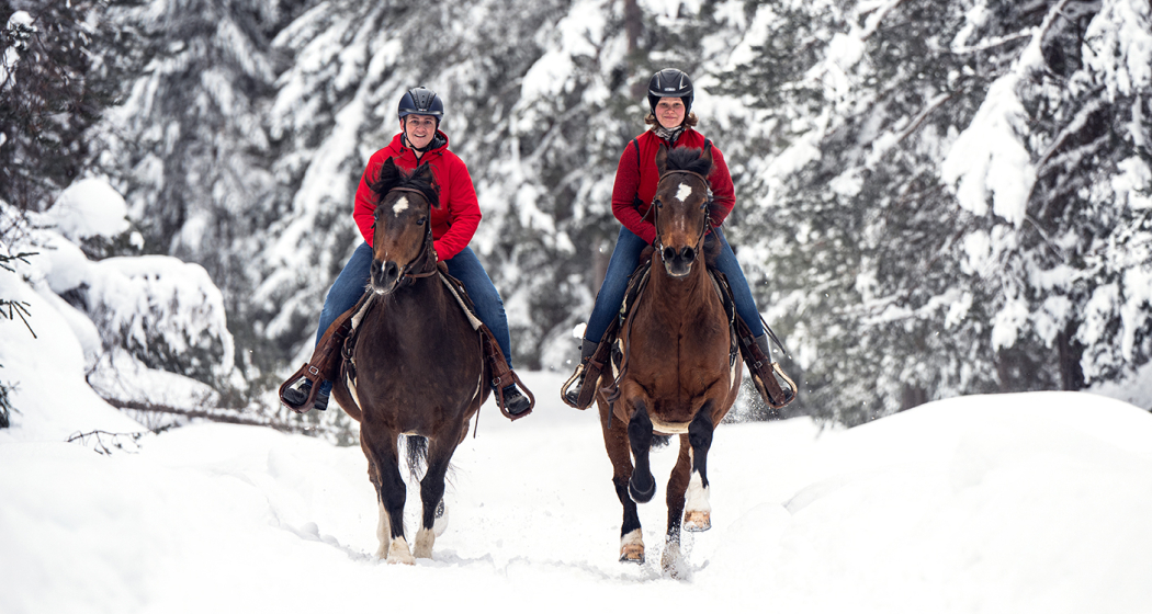 Halbtagesritt (gdl_810858992_image) Halbtagesritt (gdl_810858992_image)