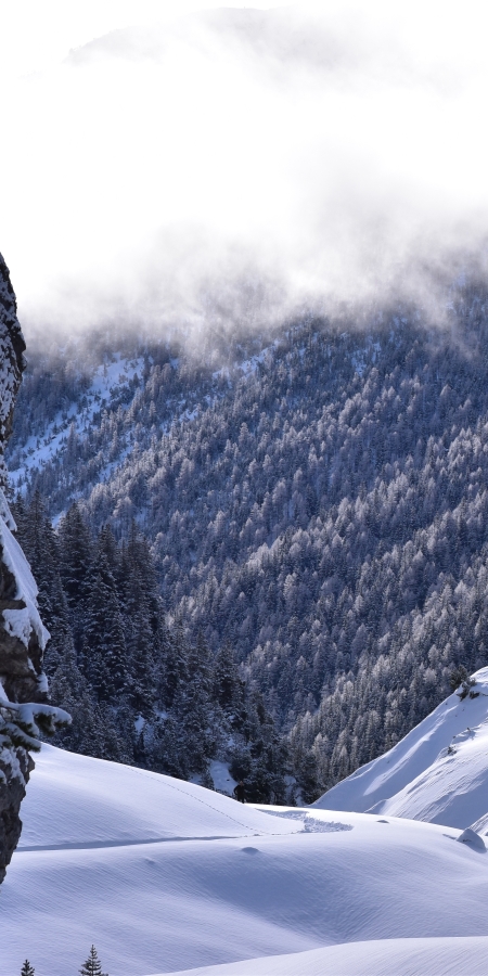 Winterwandern im Val S-charl, Unterengadin Winterwandern im Val S-charl, Unterengadin