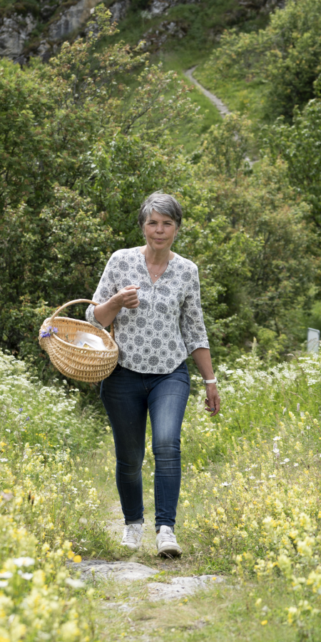 Wildkräuter sammeln mit Heidi