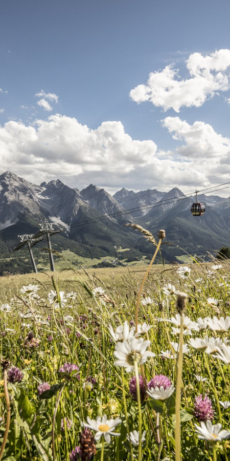 Bergbahnen im Sommer