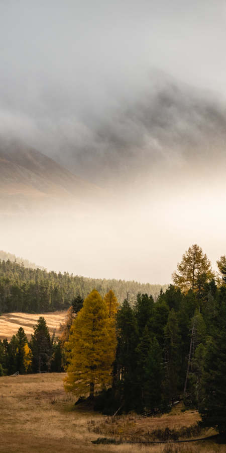 Herbst im Nationalpark