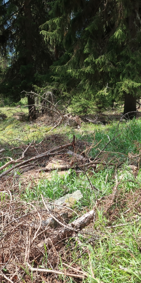 NaturAktiv-Tage im Unterengadin.