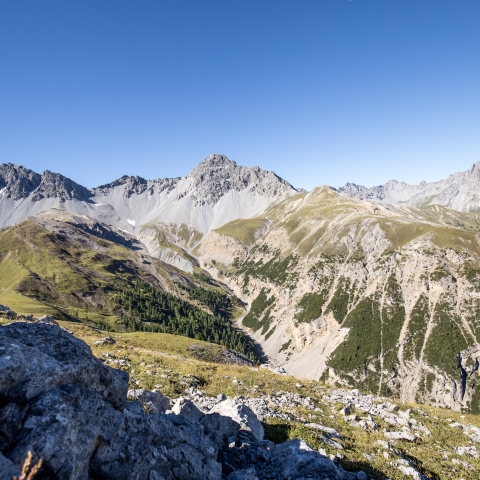 Wanderung und Wildtierbeobachtung auf dem Mot Tavrü Wanderung und Wildtierbeobachtung auf dem Mot Tavrü