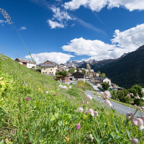 Gurada im Sommer Gurada im Sommer