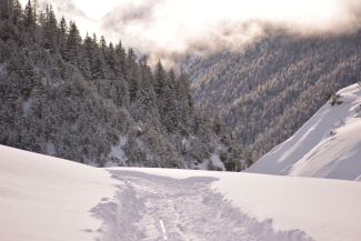 Winterwanderung durch das Val S-charl, Unterengadin Winterwanderung durch das Val S-charl, Unterengadin