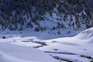 Winterwandern im Val S-charl, Unterengadin Winterwandern im Val S-charl, Unterengadin