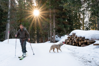 Hündin Aica begleitet Curdin auf seiner Tour.