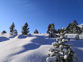 Verschneite Winterlandschaft ©Sophia Bartolomei Verschneite Winterlandschaft