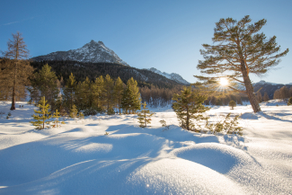Winterwandern im Engadin - Erholung für Körper und Geist. Winterwandern im Engadin - Erholung für Körper und Geist.
