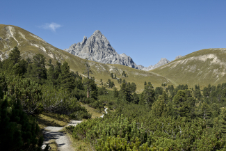 Wandern im Val Mingèr, Schweizerischer Nationalpark Wandern im Val Mingèr, Schweizerischer Nationalpark