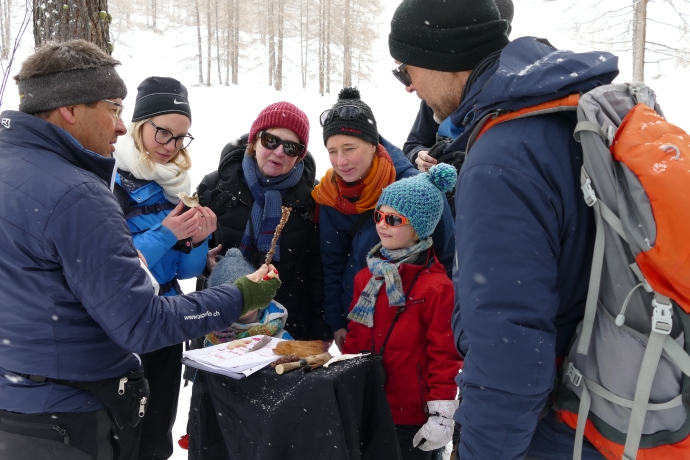 Spuren im Schnee Exkursion Spuren im Schnee