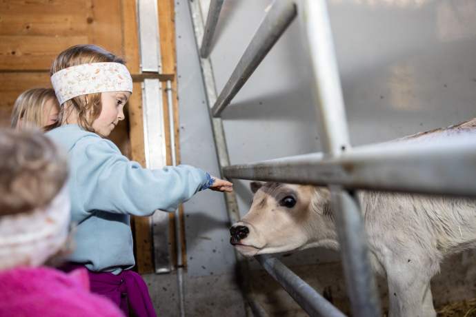 Where does the milk come from? In a mountain valley like the Engadine, agriculture can be experienced from an early age.