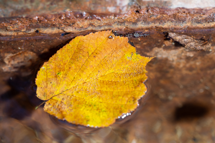 Funtana Clozza Scuol