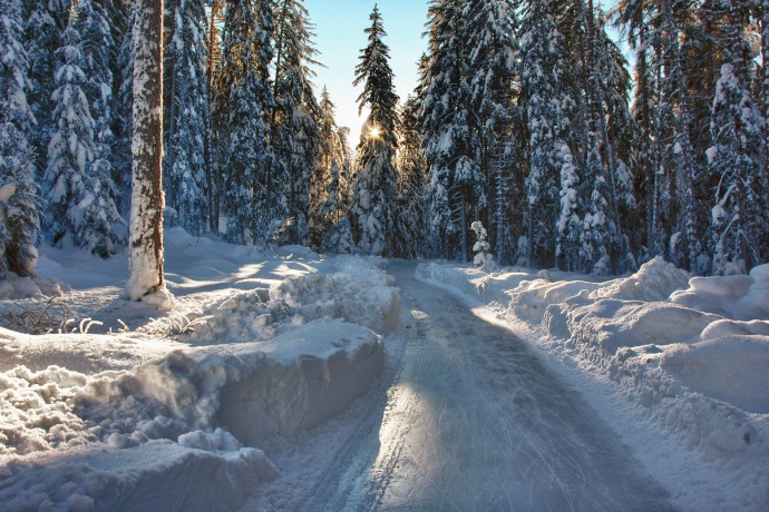 Der Eisweg Engadin führt durch den winterlichen Wald. Der Eisweg Engadin führt durch den winterlichen Wald.