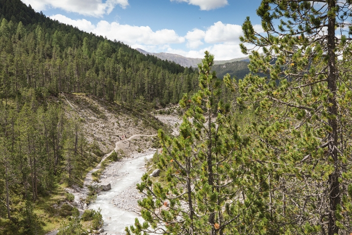 Wandern im Schweizerischen Nationalpark Wandern im Schweizerischen Nationalpark